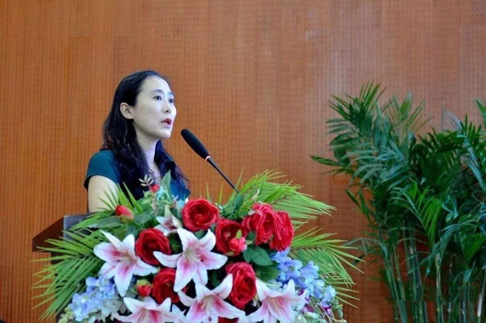 全年资料免费大全警惕虚假宣传、全面解答与解释、实时解答解释落实